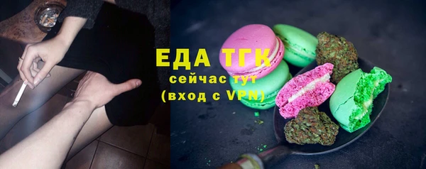 стафф Бородино