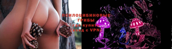 стафф Бородино