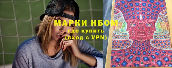 стафф Бородино