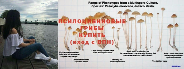 твердый Бронницы