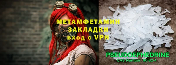 прущие грибы Богородск