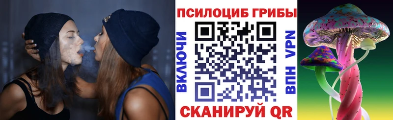 Галлюциногенные грибы прущие грибы  как найти наркотики  Качканар 